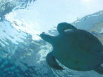 DSCN1539.jpg