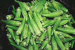 s-250px-Bucket_of_raw_okra_pods.jpg