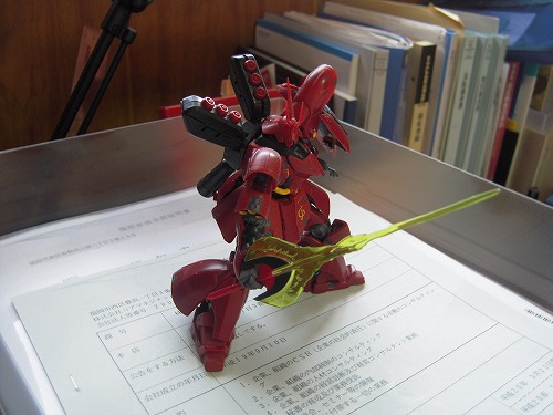 s-DSCN2045.jpg