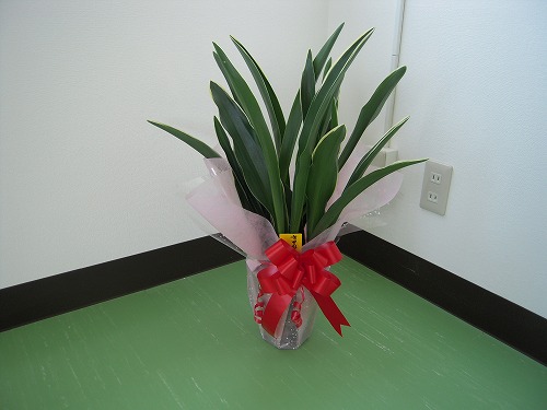 s-DSCN2281.jpg
