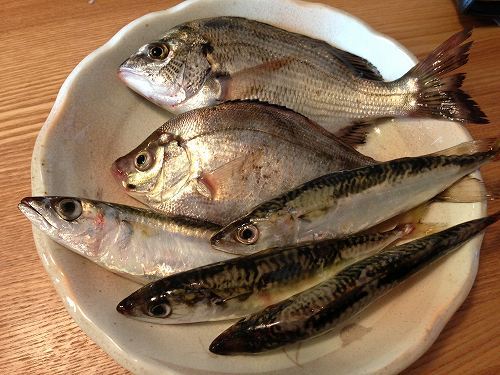s-大物.jpg