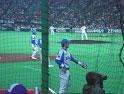 soft04-02.jpg
